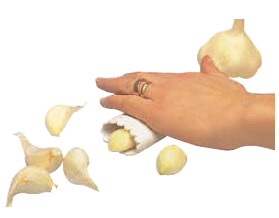 Mizotājs ķiplokiem, silikona